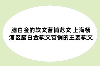 脑白金的软文营销范文 上海杨浦区脑白金软文营销的主要软文
